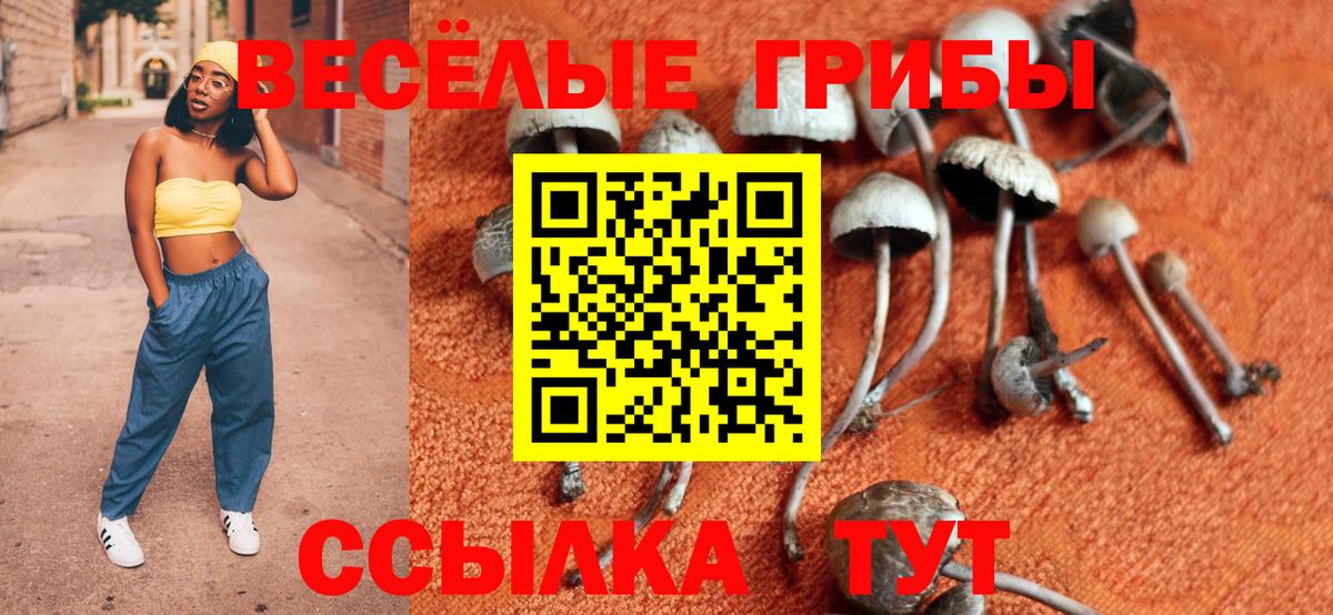 Псилоцибиновые грибы мухоморы Ейск
